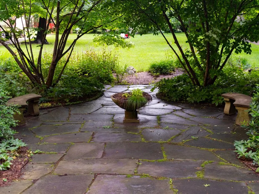 Entretien complet de jardin