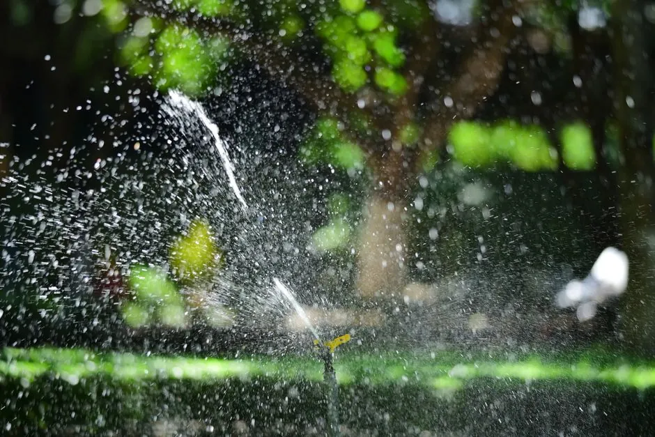 Jardin méditerranéen entretenu à Toulon